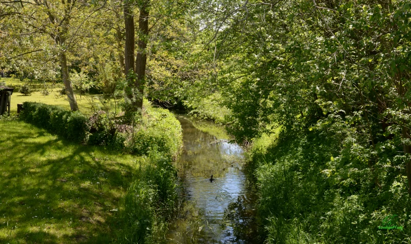 Lossa creek in Hohburg village, east germany near Leipzig