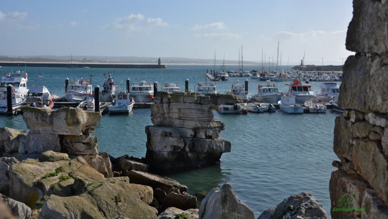 Portugal: Peniche Harbor