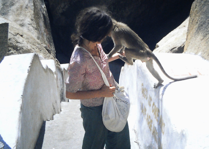 Pushy monkeys at the Hanuman temple near Vijayanagar