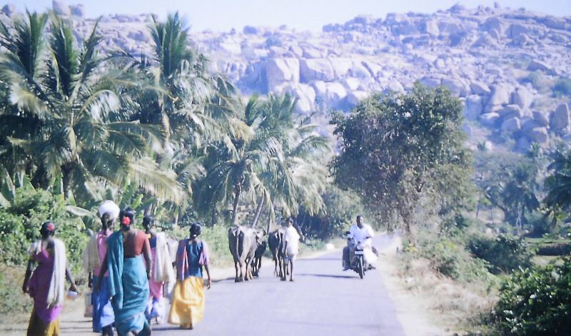 Indian ladies in Sari clothing on the way near Thungabadra river in Hampi