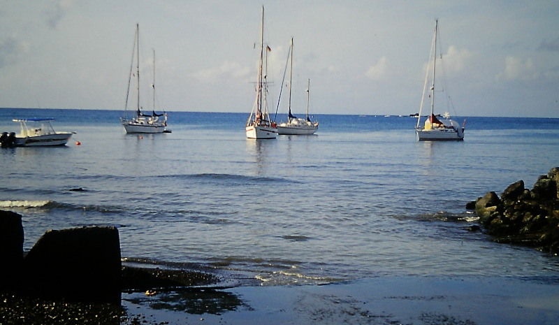 Yachts in the bay of Scarborough / Tobago