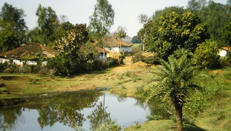 Indian village in Madhia Pradesh