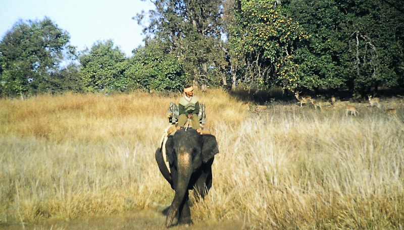 Kanha tiger reserve park ranger with elephant