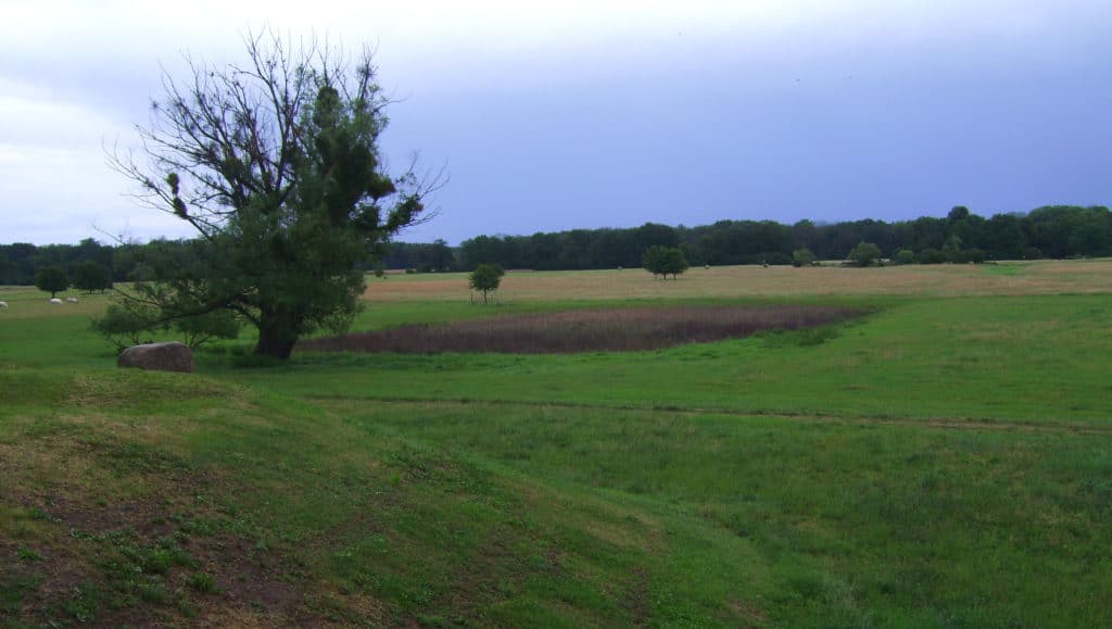 Elbe river meadows in the biosphere reserve riverlandscape Elbe