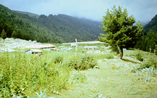 Bulgarian Sheep farm in Pirin mountains in summer 1989