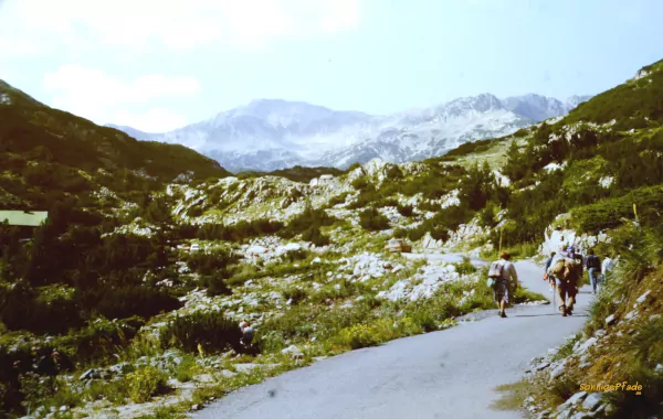 Bulgaria summer 1989: Hikers on the street to the Vichren Mountain hut