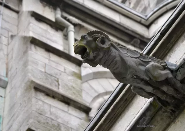 Gargoyle Detail at St. Fine Barre Cathedral