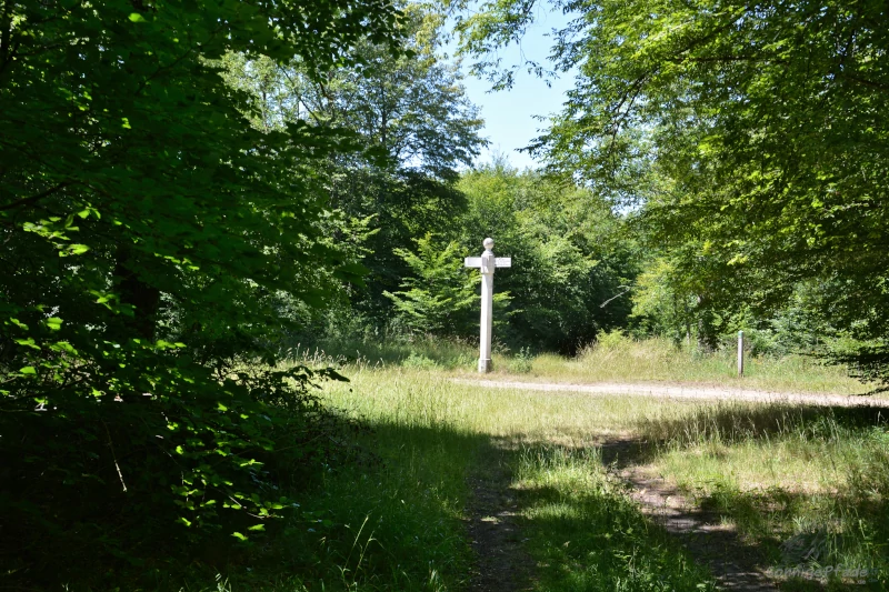 Visit in the Forest of Compiegne, France