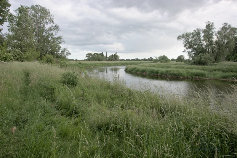 East German Mulde river near Bad Düben