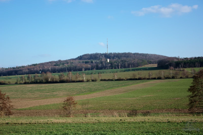 Saxon in East germany: View to the Collm hill