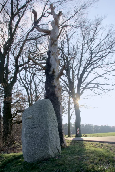 White stone at the Wermsdorf Forest