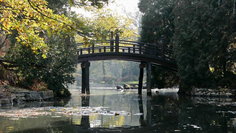 Poland, Japanese Garden in Wroclaw: Drum bridge Taiko bashi