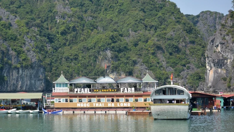 Ha Long Bay in Vietnam – Visit to a pearl farm