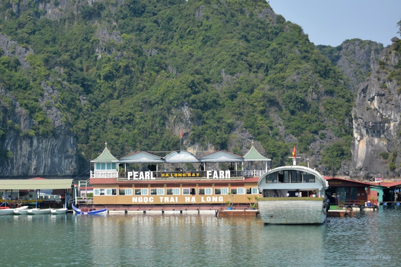 Ha Long Bay in Vietnam – Visit to a pearl farm