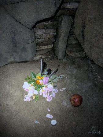 Flowers and an apple as donations in Mårhøj tomb